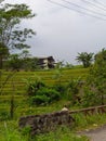 View in a village at noon trawas indonesia Royalty Free Stock Photo