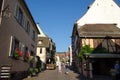 View from the village Riquewihr in Alsace in France Royalty Free Stock Photo