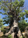 The village of Wasini Island in Kenya