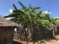 The village of Wasini Island in Kenya