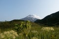 View of Viluchinskiy volcano in summer. Kamchatka Royalty Free Stock Photo