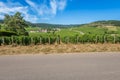 View of in the vineyard in Burgundy home of pinot noir and chardonnay in summer day with blue sky Royalty Free Stock Photo