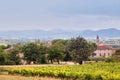 View of the vineyard and old town of Barjac, southern France. Beautiful landscape with a bell tower and mountains on the Royalty Free Stock Photo