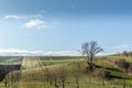 View of vineyards and farms in the Svatoborice region of Moravian Tuscany during a sunny autumn day in the background blue sky