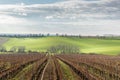 View of vineyards and farms in the Svatoborice region of Moravian Tuscany during a sunny autumn day in the background blue sky