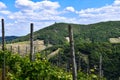 View of the vineyards and the forest in the Ahr valley near Rech