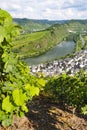 Vineyards And Moselle Riverbend Village, Germany Royalty Free Stock Photo