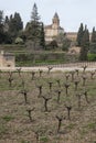 View on vineyards on hill and medieval fortress Alhambra in Granada, Andalusia, Spain