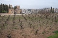 View on vineyards on hill and medieval fortress Alhambra in Granada, Andalusia, Spain