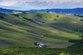 View of the vineyards and hills of Langa Piemonte Italy Royalty Free Stock Photo