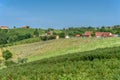 View on vineyards in Kapela near Radenci Royalty Free Stock Photo