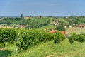 View on vineyards in Kapela near Radenci Royalty Free Stock Photo