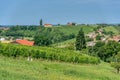 View on vineyards in Kapela near Radenci Royalty Free Stock Photo