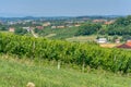View on vineyards in Kapela near Radenci Royalty Free Stock Photo