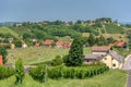 View on vineyards in Kapela near Radenci Royalty Free Stock Photo