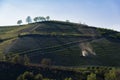 View of the vineyards in the Langa Piedmont hills