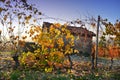 View on vineyards of Langhe Roero Monferrato, UNESCO World Heritage in Piedmont, Italy Royalty Free Stock Photo