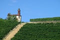 View on vineyards of Langhe Roero, UNESCO World Heritage in Piedmont, Italy