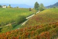 View on vineyards of Langhe Roero, UNESCO World Heritage in Piedmont, Italy