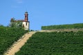 View on vineyards of Langhe Roero, UNESCO World Heritage in Piedmont, Italy Royalty Free Stock Photo