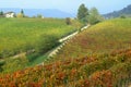 View on vineyards of Langhe Roero, UNESCO World Heritage in Piedmont, Italy Royalty Free Stock Photo