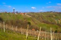 Lendavske Gorice In Spring Royalty Free Stock Photo