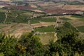 View of the vineyards of Montalcino in Tuscany, Italy Royalty Free Stock Photo