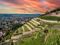 View of the vineyards in Saxony Royalty Free Stock Photo