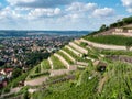 View of the vineyards in Saxony Royalty Free Stock Photo