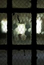 Vintage Windows with Chicken Wire - Abandoned Creedmoor State Hospital - New York Royalty Free Stock Photo