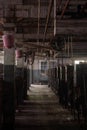 Vintage Industrial Silk Spinning Equipment + Fire Buckets - Abandoned Lonaconing Silk Mill - Maryland