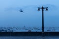 View of vintage Lamp posts on a street close to sea with boats and a bird flying