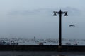 View of vintage Lamp posts on a street close to sea with boats and a bird flying