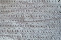 View of white eyelet embroidery cotton fabric from above