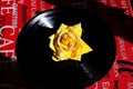 A yellow rose in the center of a vinyl disk Royalty Free Stock Photo