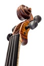 View of violin neck, pegbox and scroll Royalty Free Stock Photo