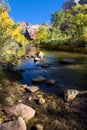 View of the Virgin River Royalty Free Stock Photo