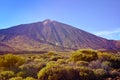 View of volcano El Teide is the highest point above sea level in the islands of the Atlantic.Mount Teide in spring.