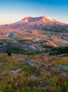 A view of the volcano, Mount Saint Helens, Washington Royalty Free Stock Photo