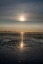 view on the wadden sea of the north sea at low tide at sunset near tossen Royalty Free Stock Photo