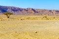 Wadi Paran Nature reserve, in the Negev Desert Royalty Free Stock Photo