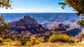 View at the Walhalla Overlook on the Cape Royal Road at the North Rim of the Grand Canyon Royalty Free Stock Photo