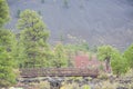 The View of a walking bridge over the volcanic ravine near the Sunset Crater Volcano in Northern Arizona. Royalty Free Stock Photo