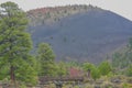 The View of a walking bridge over the volcanic ravine near the Sunset Crater Volcano in Northern Arizona. Royalty Free Stock Photo