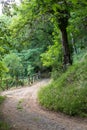 View of walking tracks through rural countryside Royalty Free Stock Photo