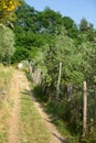 View of walking tracks through rural countryside Royalty Free Stock Photo