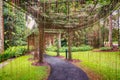 He walkway, curtain of roots in Singapore Botanic Gardens. Royalty Free Stock Photo