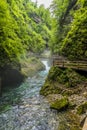 A view of the walkway zigzagging above the turbulent Radovna River in the Vintgar Gorge in Slovenia