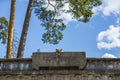 View of wall decoration on green trees, blue sky and white clouds background. Head of tiger with open mouth made of stone