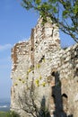 View of the wall of the ruins Devicky paved flowers